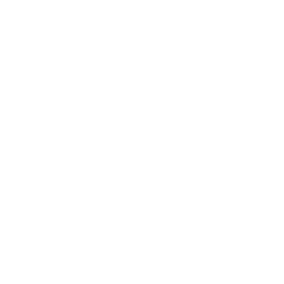 Icoon asset- en datamanagement